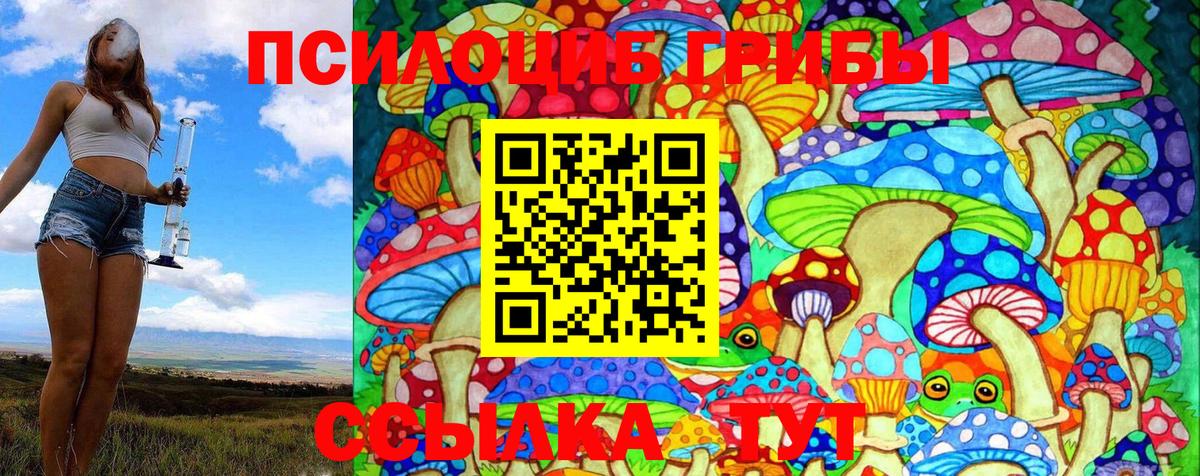 Псилоцибиновые грибы MAGIC MUSHROOMS  Галлюциногенные грибы Psilocybine cubensis  Дюртюли  Вход с VPN 